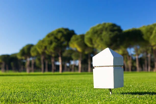 Tee Markers
